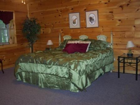 Mountain Shadows Resort ガトリンバーグ 部屋 写真
